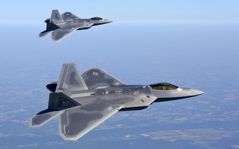air force, fighter plane, air vehicle, animal, plane, no people, mode of transportation, aerospace industry, motion, airplane, nature, 4K, military, animal wildlife