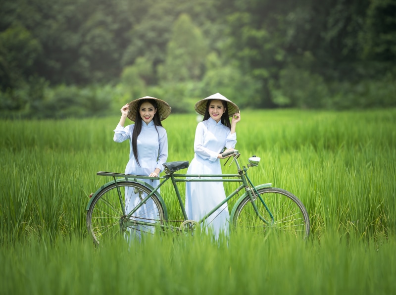 Ladies, 5K, Field, ao dai, two people, tourism, Rice, Country, green color, Dress, Travel, Nature, Clothing, Vacation, dai, Countryside, emotion, vietnamese