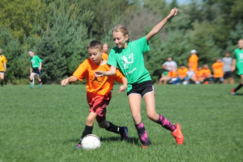 excitement, sports Uniform, soccer Player, soccer Uniform, arms raised, Coed, human body part, playful, team, sports Team, soccer Ball, human arm, teamwork