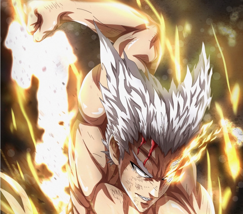 Garou (One-Punch Man), 1080P, Anime, One-Punch Man