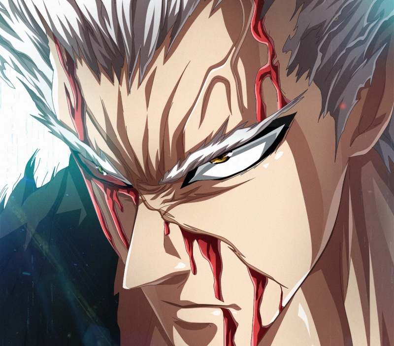 Anime, Garou (One-Punch Man), One-Punch Man, 1080P