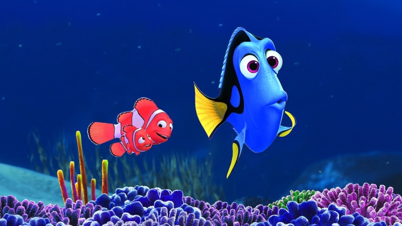 blue, movies, finding, nemo, fish, clown, hd, 1080P, underwater
