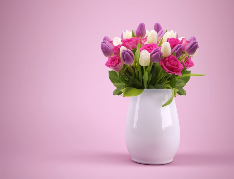 fragility, copy space, Pink, Roses, colored background, pink color, plant, Flower bouquet, flowering plant, indoors, beauty in nature, close-up, pitcher - jug