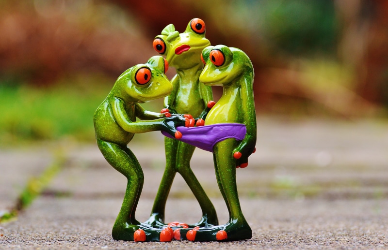 creativity, food and drink, representation, wise, no people, laugh, Curious, food, nature, Frogs, fun, photography, figure, day, outdoors, toy, look, frog