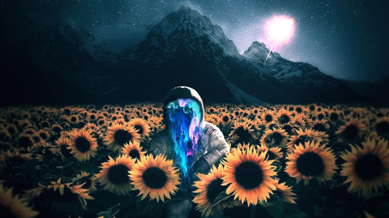4K, 4K, Astronaut, Sunflowers