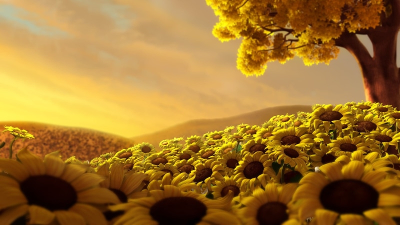 sunflower, flower, nature, freshness, tranquility, close-up, flowering plant, fragility, no people, vulnerability, flower head, pollen, yellow, digital art