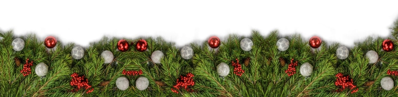 land, day, pine, design, bauble, holiday, 5K, panoramic, winter, no people, flowering plant, rowan, background, tree, happy, greeting, landscape, branch
