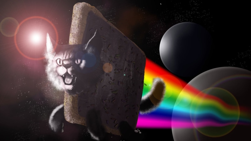 humor, night, celebration, representation, creativity, space art, LSD, digital art, cat, digital composite, multi colored, emotion, nyan, studio shot, animals