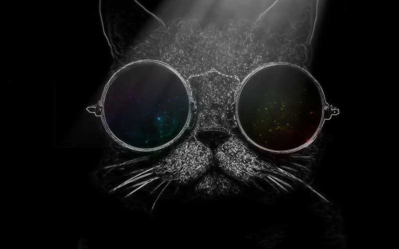 glasses, 1080P, portrait, studio shot, indoors, one animal, cat, body part, headshot, reflection, illustration, bizarre, close-up, animal body part, human body part