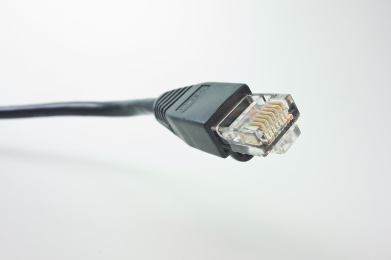 network cables, no people, lan, network, communication, indoors, rj, rj45, network connector, wireless technology, telecommunications equipment, electric plug