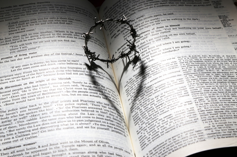 sad, jesus, cross, text, open, plant part, faith, dead, paper, plant, thorns, die, died, book, loss, sorrow, close-up, light, god, nature, pray, high angle view