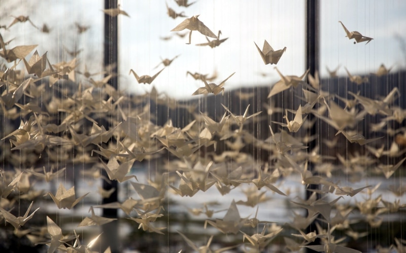 day, mid-air, 720P, birds, leaf, vertebrate, animals in the wild, no people, animal, flock of birds, close-up, beauty in nature, spread wings, photography