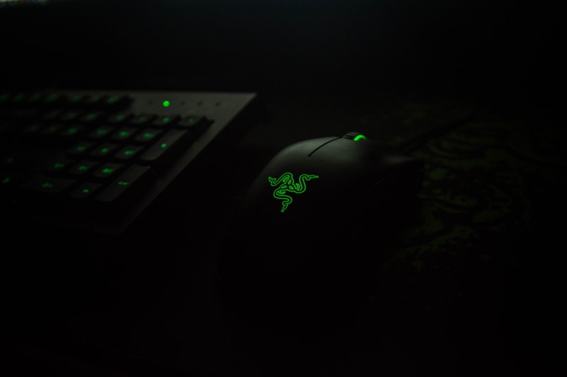connection, plant part, computer keyboard, computer, 5K, green color, communication, copy space, razer, studio shot, close-up, no people, keypad, gaming