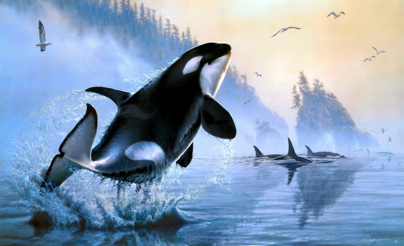 Sea Life, 2K, Painting, Orca, Artistic, Animal