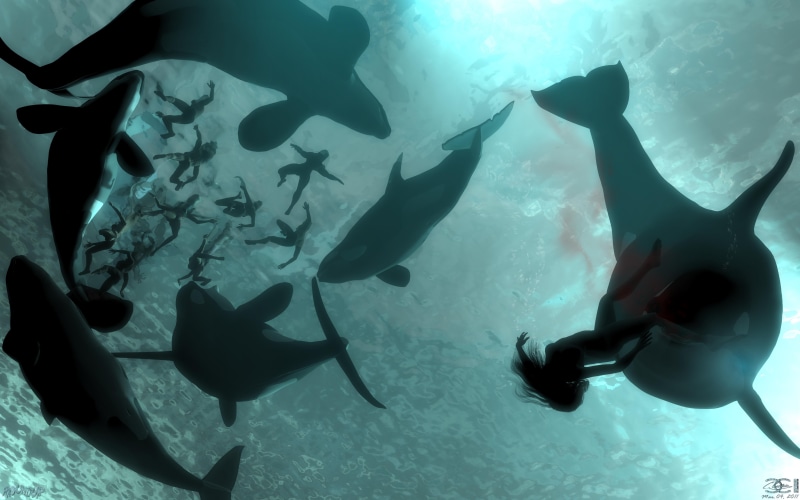 orcas, family, animal, roundup, hunting, prey, hunt, 5K, whale, killer, swimming, creature, beast, orca, swimmer