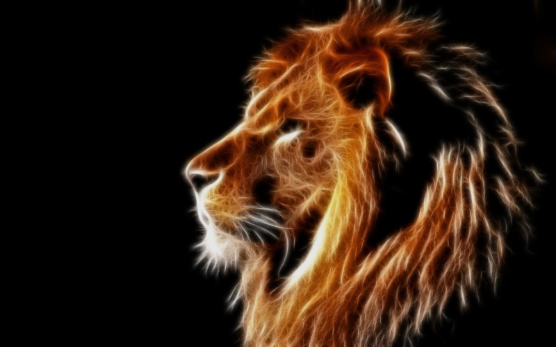 Mane, Background, Black, Light, Lion, Design, Creative, 1080P