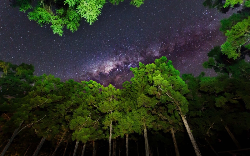 tranquil scene, sky, 1080P, no people, trees, nature, scenics - nature, star, plant, tranquility, space, astronomy, green color, low angle view, space and astronomy