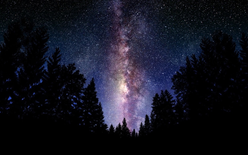 stars, low angle view, nature, Milky Way, 720P, space, sky, land, tranquil scene, tree, space and astronomy, scenics - nature, star - space, growth, galaxy