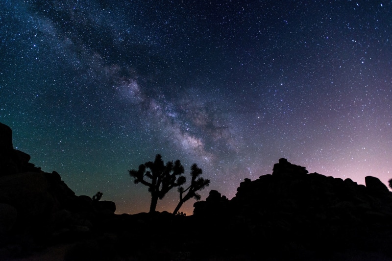 hills, silhouettes, time, tranquility, 2K, trees, usa, tranquil scene, joshua tree national park, idyllic, milky Way, planet - Space, night, serene, star