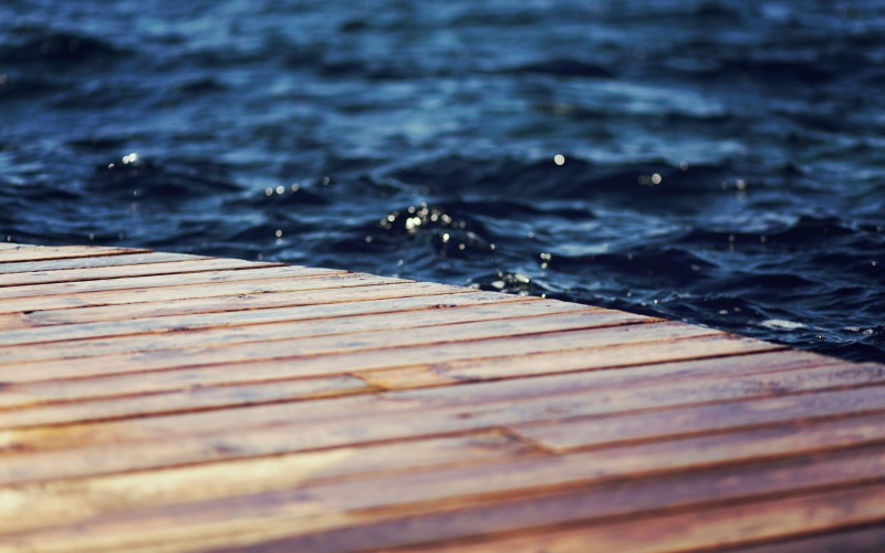 elementary, os, wood - material, no people, beauty in nature, close-up, sea, purity, high angle view, day, selective focus, pattern, backgrounds