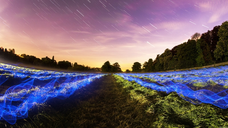 tranquility, sky, no people, land, forest, plants, scenics - nature, space, nature, light trails, tranquil scene, star - space, plant, trees, clouds, green