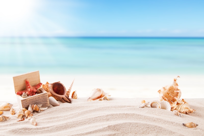 horizon over water, water, sea, tranquil scene, shell, summer, seashells, white, beach, horizon, near, beauty in nature, sand, tranquility, 5K, scenics - nature