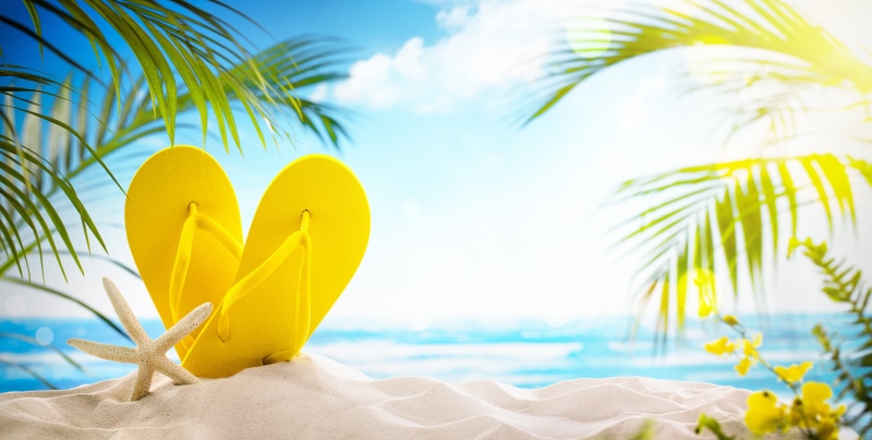 emotion, summer, tropical climate, holiday, starfish, slates, close-up, palm leaf, outdoors, stay, palm trees, beauty in nature, sand, the sun, water, flops