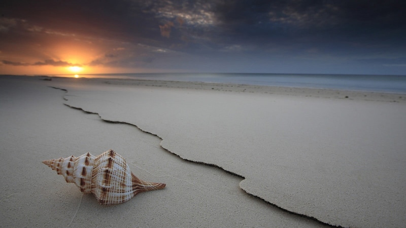 tranquility, tranquil scene, horizon over water, travel destinations, white, no people, sky, sea, 720P, beauty in nature, horizon, beach, seashells, shell