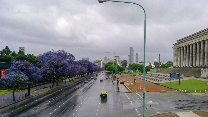 tree, car, wet, flower, plant, cityscape, springtime, no people, sky, day, facultad de derecho, road, city, zunder.tv, trees, rain, nature, built structure