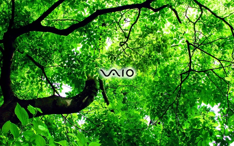 sony, sony vaio, green, vaio, 1080P
