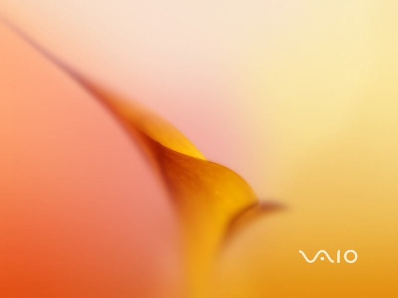 sony, 720P, vaio