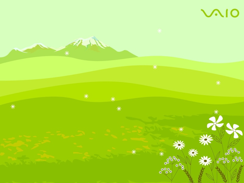 sony, vaio, 720P