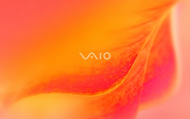 blossom, vaio, 1080P, sony vaio, orange, sony