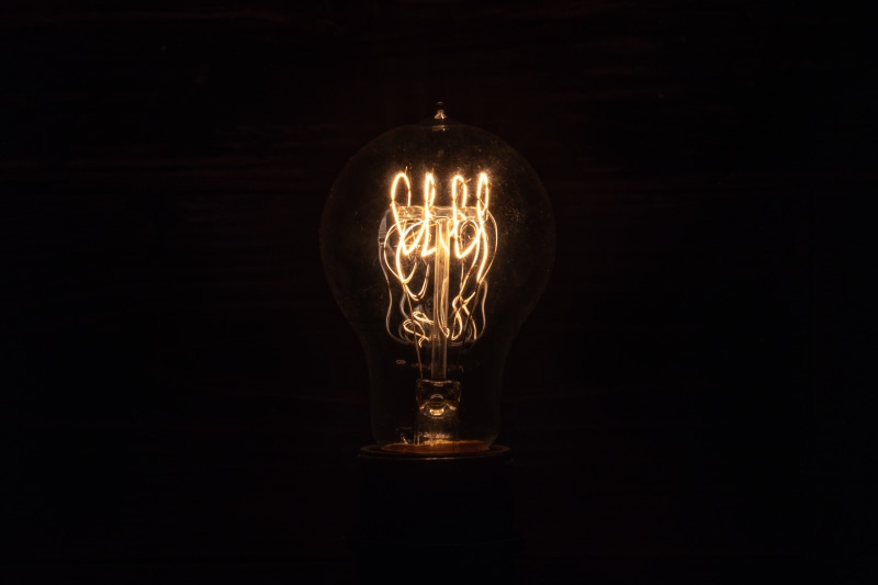 lighting equipment, black background, bird, electric light, indoors, ideas, illuminated, light - natural phenomenon, glass - material, buzzard, animal