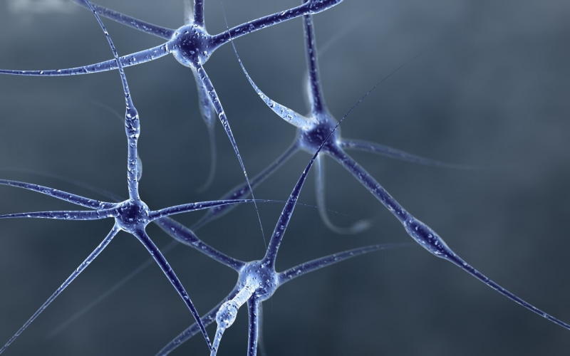 white color, black, no People, molecular Structure, shape, net - sports equipment, pattern, full frame, axon, nature, human Cell, cell, spider Web, dendrite