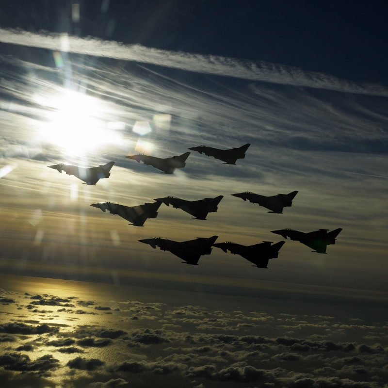 sunlight, vehicle, fighting, animals in the wild, animal themes, animal, Eurofighter Typhoon, seagull, military, 2K, group of animals, bird, jet fighter