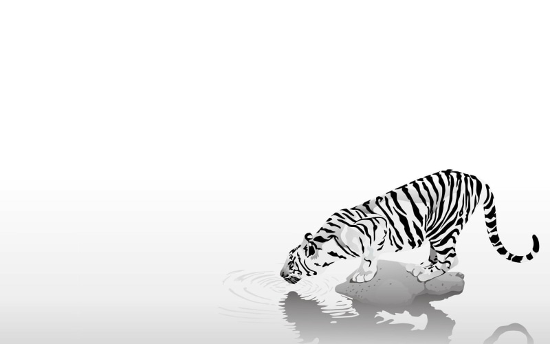 animal wildlife, mammal, art and craft, animal representation, studio shot, zebra, 1080P, indoors, copy space, white background, representation, animal themes