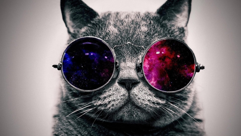 digital art, space, sunglasses, fantasy, 1080P, cat, reflected, galaxy, sunglass, funny, eyewear, cosmos