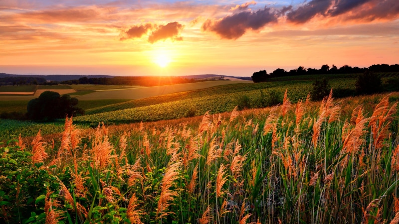 sky, evening, 5K, hill, slopes, sun, grassland, slope, grass, 5kuhd, field, 5k uhd, 5k, rolling hills, sunset