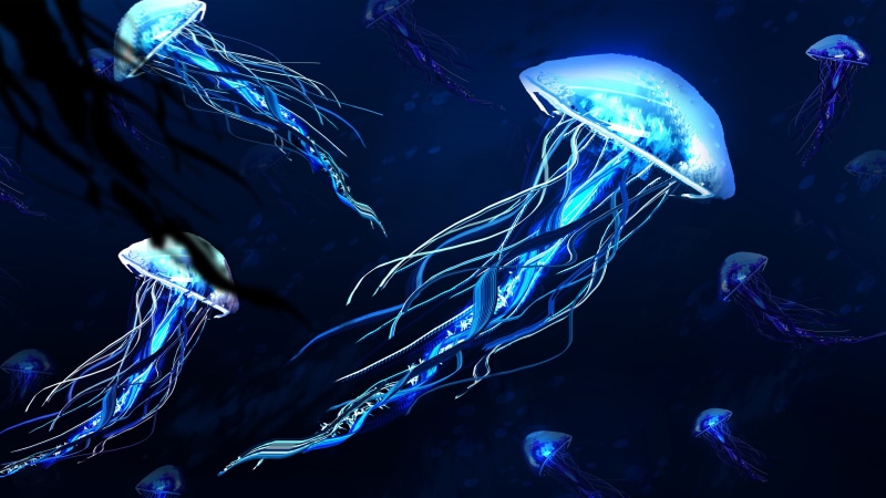 5K, fantasy art, jellyfish, underwater, light, art, electric blue, 5k uhd, illustration, 5k, darkness