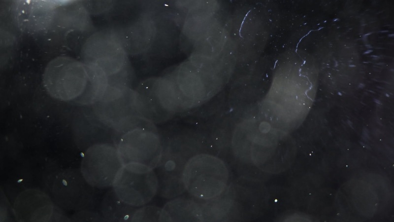 1080P, floating particles, blurred