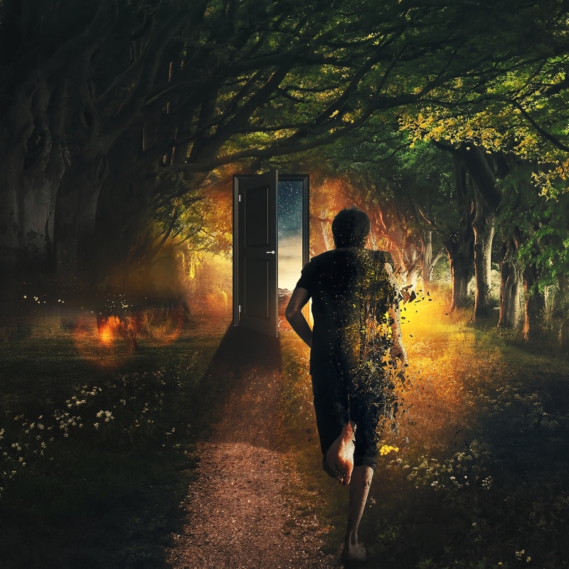 forest, particles, 2K, man running to gate, disappearing, Fantasy