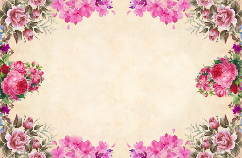 2K, rustic, vintage, flower, roses, fragility, pink color, print, fall, flowering plant, nostalgic, copy space, retro, nature, frame, style, old, decoration