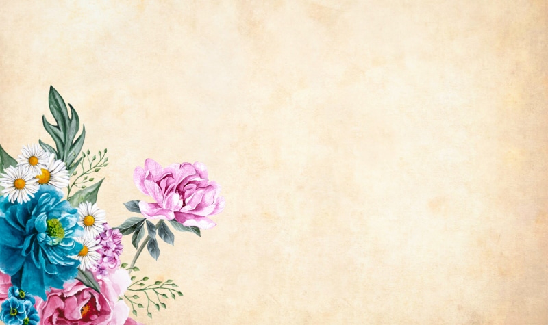 studio shot, decoration, floral, botany, designed, indoors, cherry blossoms, vulnerability, 2K, bunch of flowers, open, mottled, beauty in nature, bouquet