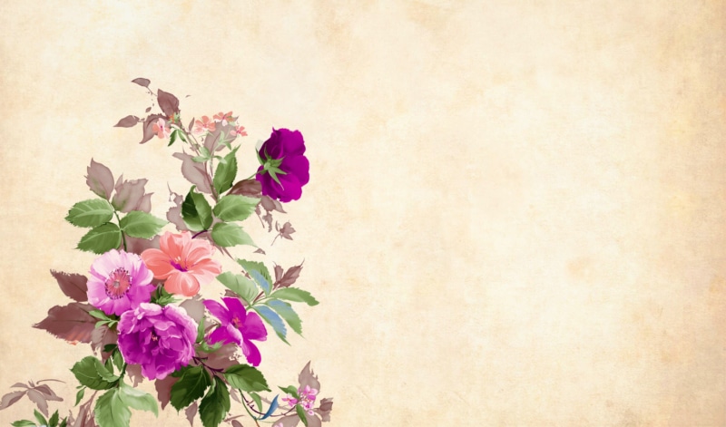 close-up, rustic, flowering plant, vintage, plant, flower, nostalgic, paper, flower head, vulnerability, decoupage, decoration, colorful, floral, inflorescence