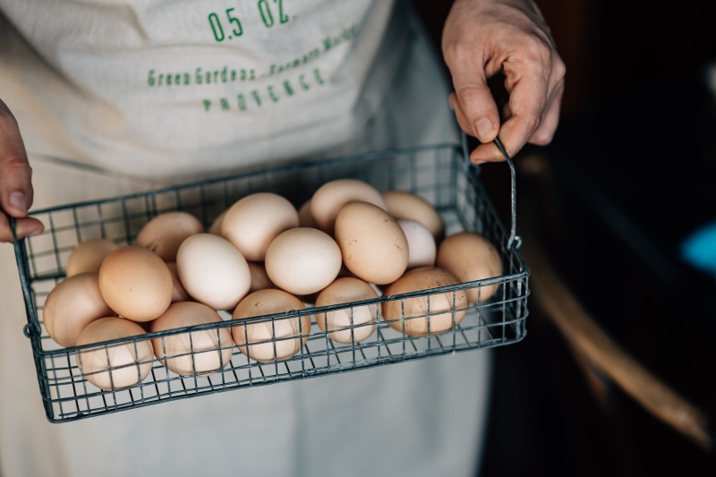 men, organic, chef, healthy eating, food, mesh, egg, farm, Wire mesh, midsection, breakfast, holding, basket, freshness, 5K, food and drink, wire, front view