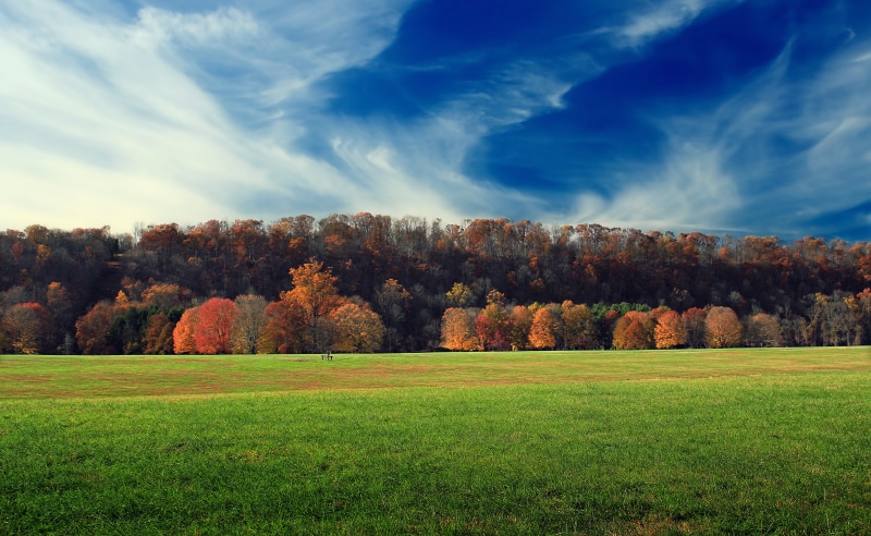 hills, clouds, rural Scene, trees, County Park, green grass, autumn, landscape, season, foliage, Tinicum Township, Pennsylvania, sky, 5K, nature, tree