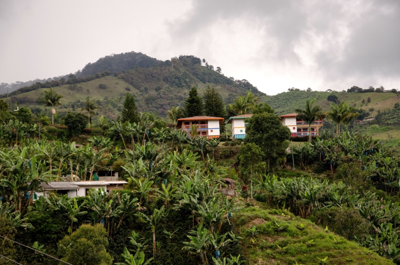 near, coffee-growing area, banana tree, daytime, building exterior, coffee zone, landscape, environment, land, sky, green color, mountains, architecture