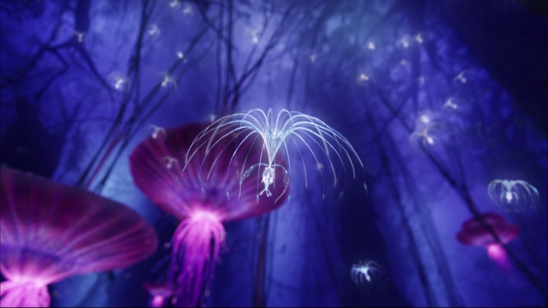 Pandora, 1080P, Fantasy, Avatar