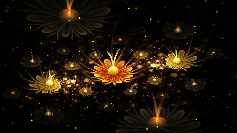 vulnerability, explosion, abstract, explosive, space, glowing, eve, celebration, decoration, growth, flowering plant, pollen, 1080P, petal, black, light